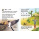 «Енциклопедія дошкільника: Птахи», м'яка обклдинка, 32 сторінки, 20х24 см, ТМ Ранок