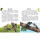 «Читаю про Україну: Тварини лісів», 24 сторінки, 16,5х21 см, ТМ Ранок