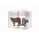 «Велика книжка. Дикі кішки», м'яка обкладинка, 16 сторінок, 24х33 см, ТМ Кристал Бук