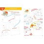 «Smart Start. Творчі завдання. Дрібна моторика, фантазія» на 16 сторінок з м'якою обкладинкою 21х29 см, ТМ Кристал Бук