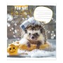 Зошит на 18 аркушів у лінію «Мікс Дівчата», №3406, ТМ Gold Brisk